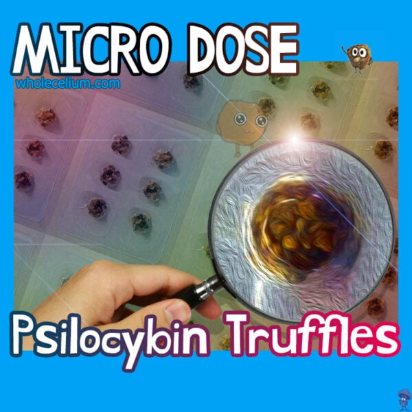 MICRODOSING 'XP' Psilocybin - csíkozás